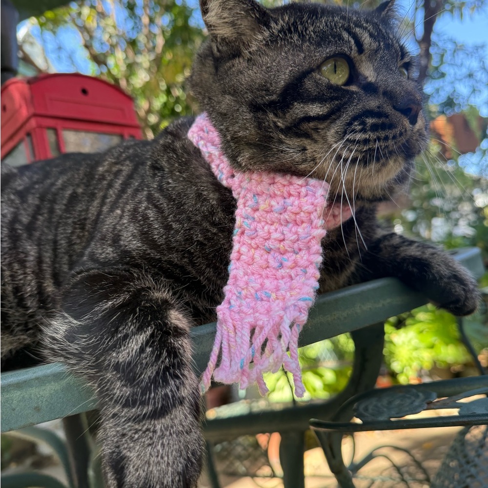 2 for 1 Cozy Cat / dog Scarf